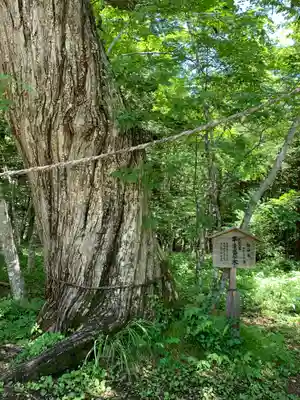 高房神社　上社(栃木県)