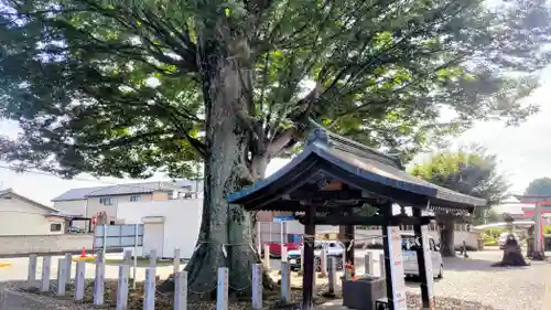 小泉神社(群馬県)