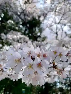 滑川神社 - 仕事と子どもの守り神(福島県)
