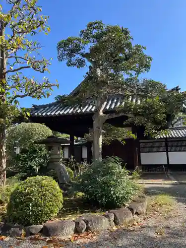 中宮寺(奈良県)
