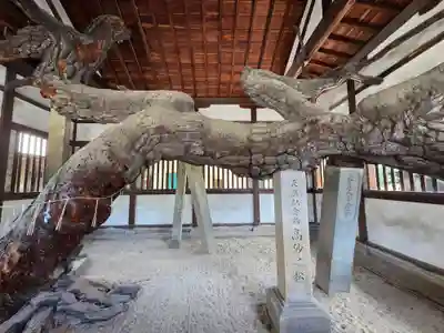 高砂神社の自然