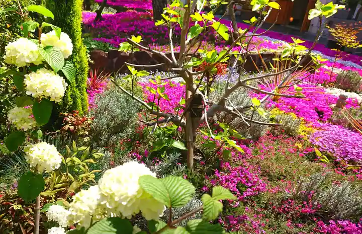 寿量山 速成寺の自然