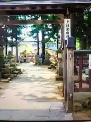 林泉寺の庭園