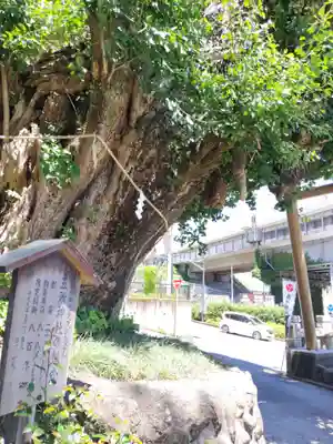 五所神社のその他建物