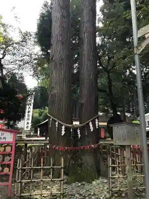 櫛引八幡宮(青森県)