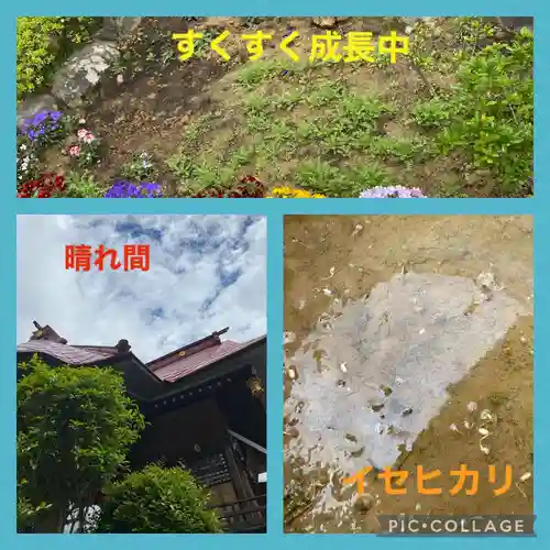 大鏑神社の自然