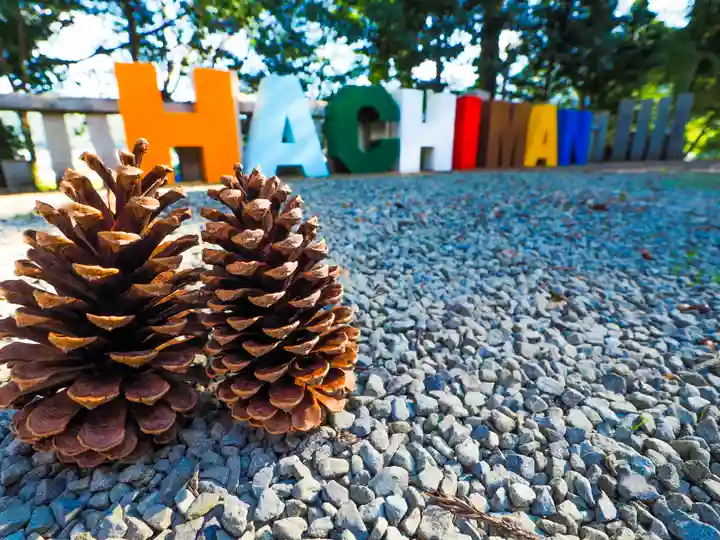 川田八幡神社の自然