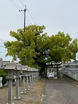八幡神社のその他建物