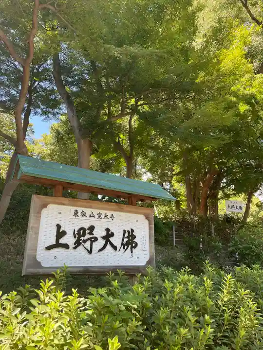 上野大佛(東京都)