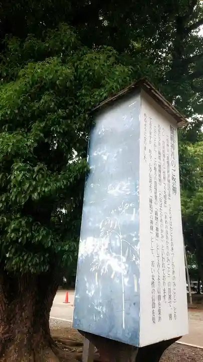 真清田神社の歴史