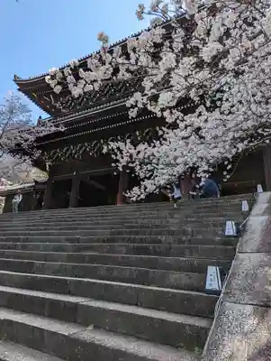 知恩院(京都府)