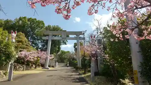 満福寺（三好稲荷閣）の鳥居