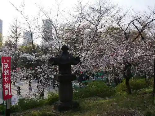 清水観音堂の自然