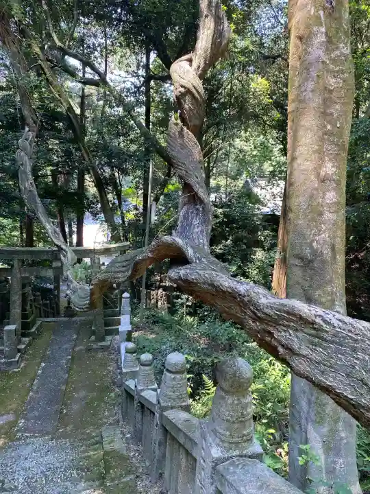 大水上神社(香川県)