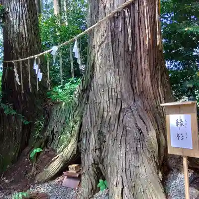 坪沼八幡神社(宮城県)