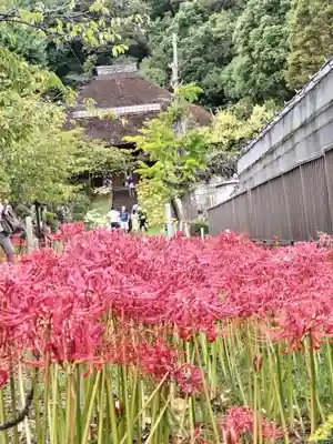 横浜　西方寺(神奈川県)