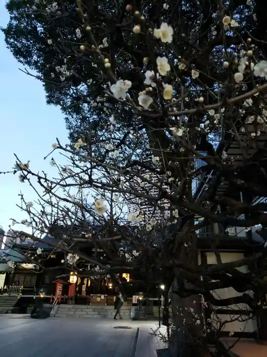 熊野神社の自然