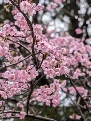 妙法寺(東京都)