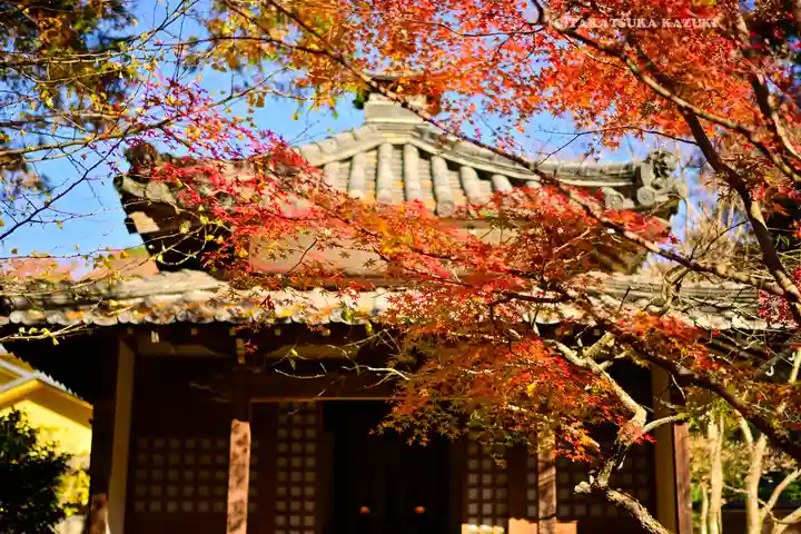 明月院(神奈川県)