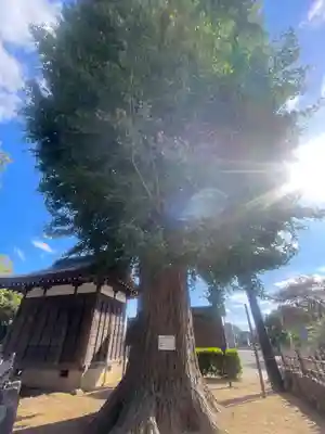 清瀧院(千葉県)