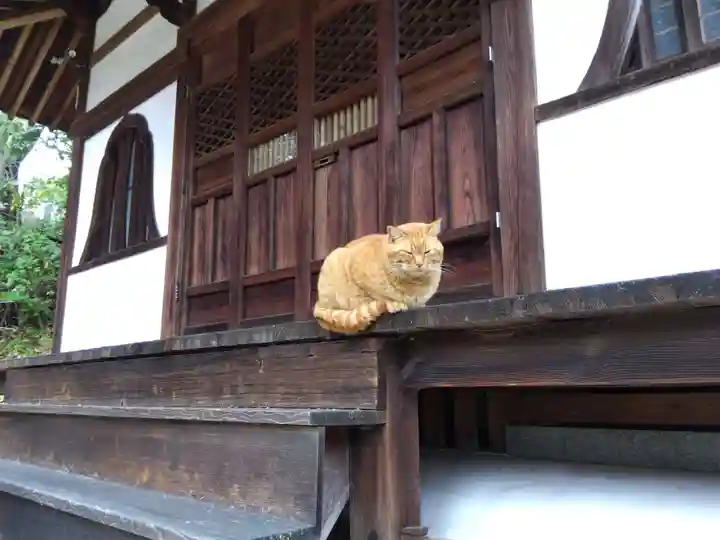 平林寺(兵庫県)
