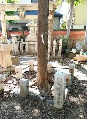 信太森神社（葛葉稲荷神社）(大阪府)