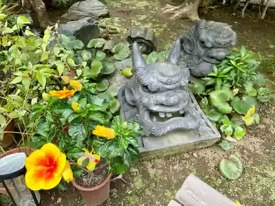 谷中 妙福寺(東京都)