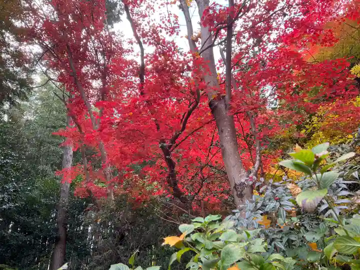 厭離庵(京都府)