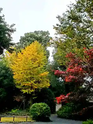 阿佐ヶ谷神明宮(東京都)
