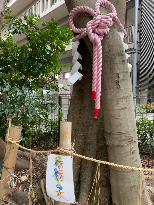 伊和志津神社の自然