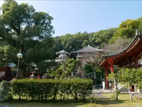 観音寺の建物その他