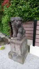 太田杉山神社・横濱水天宮の狛犬