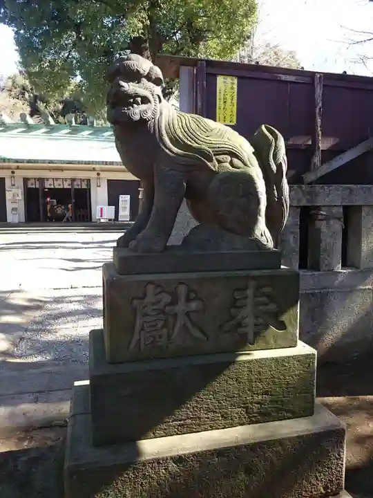 駒込天祖神社の狛犬