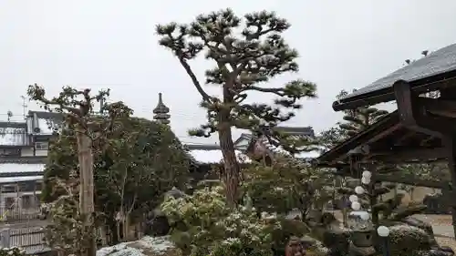 大松禅寺の庭園