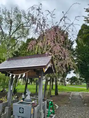 出雲大社新十津川分院(北海道)