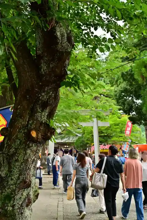 浅原神社(新潟県)