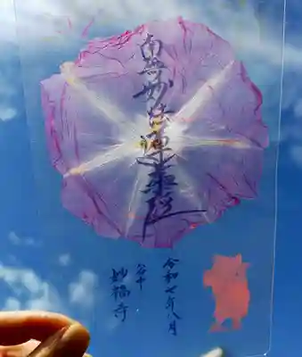 谷中 妙福寺の御朱印