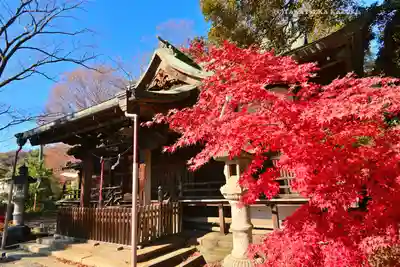 美和神社(群馬県)