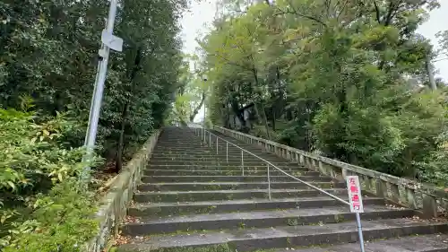 鹿児島神宮(鹿児島県)
