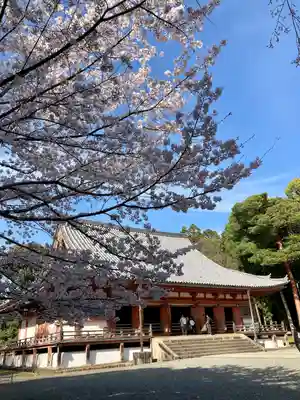 醍醐寺の本殿・本堂