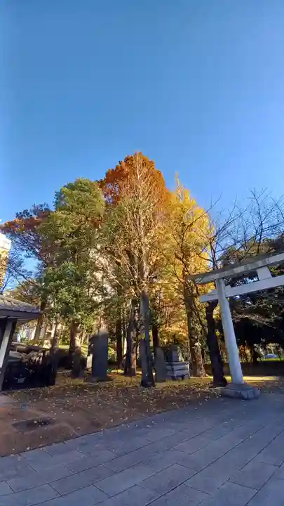 熊野神社(東京都)
