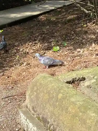 日御碕神社(島根県)