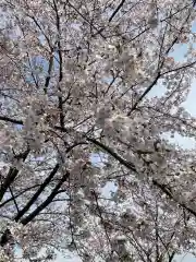 榛名神社の自然