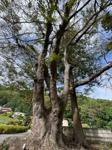 諏訪大社上社前宮(長野県)