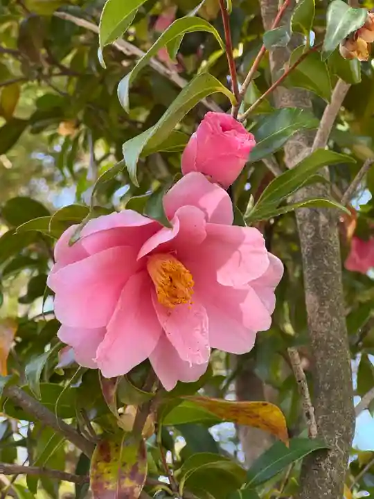 隠津島神社(福島県)