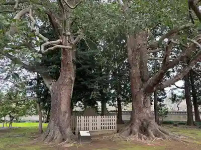 弘道館鹿島神社(茨城県)