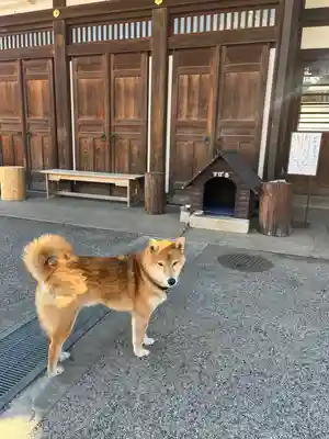 感通寺(東京都)