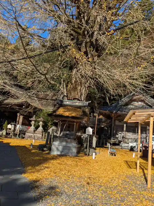 正法寺の御朱印