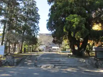 香園寺(愛媛県)