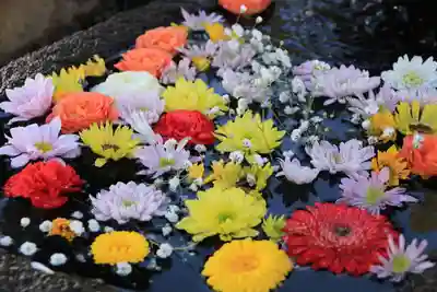 大鏑神社の手水舎